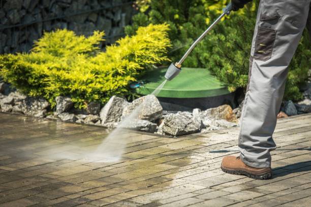 Best Gutter Cleaning  in Snohomish, WA