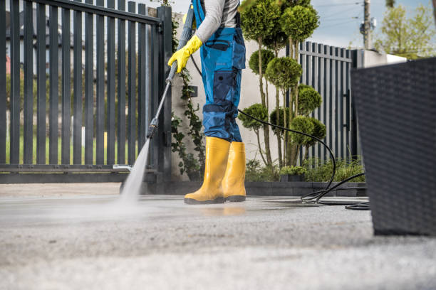 Best House Exterior Washing  in Snohomish, WA